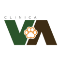 veterinariaavila.com