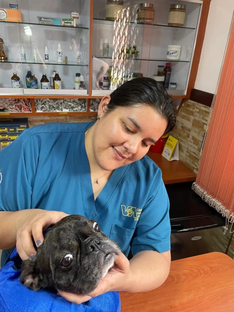 Nosotros whatsapp image 2026 09 02 at 10.16.19 am (6)