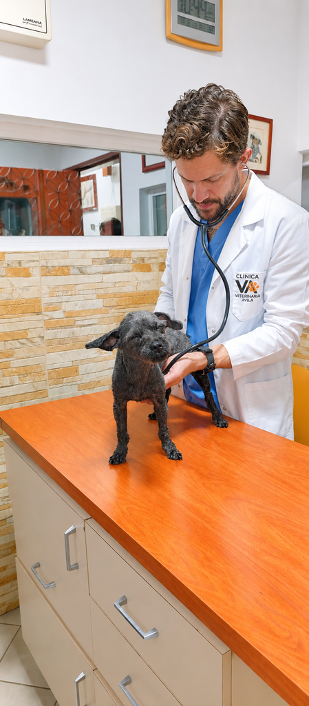 andres troconis neurologia