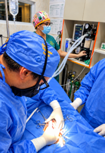 cirugía veterinaria en quirófano clínico