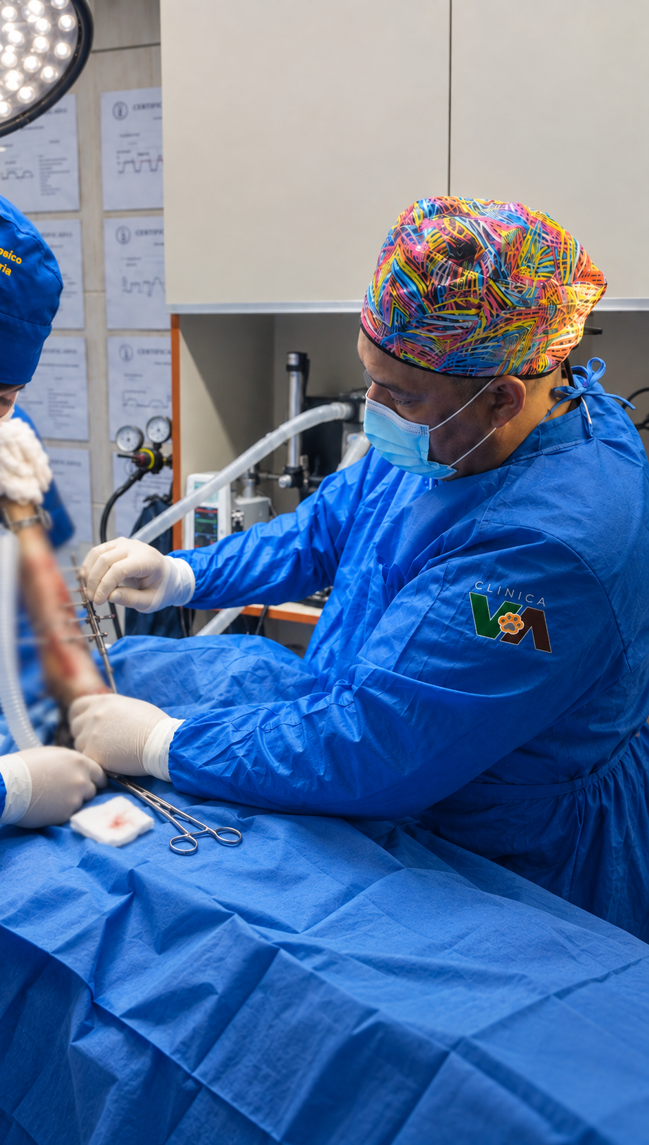 gilberto haddad traumatologia