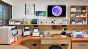 laboratorio