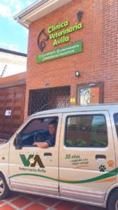 camioneta transporte